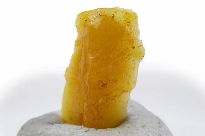 Kansas Amber (Jelinite) Specimen - George Jelinek Collection #305743